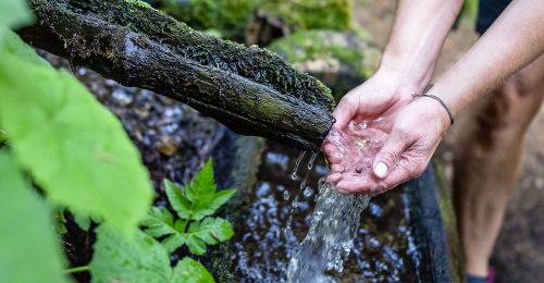 wasser-perauerC4D8E3D9-457A-DBAF-EBC2-0B36209E70A3.jpg